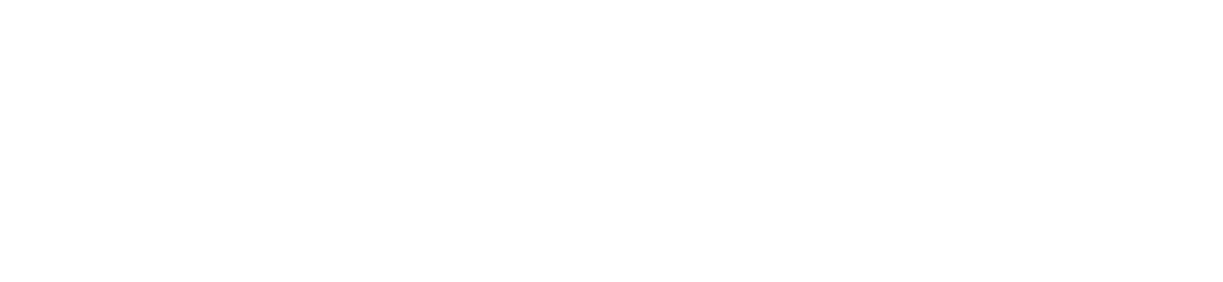 wien work
