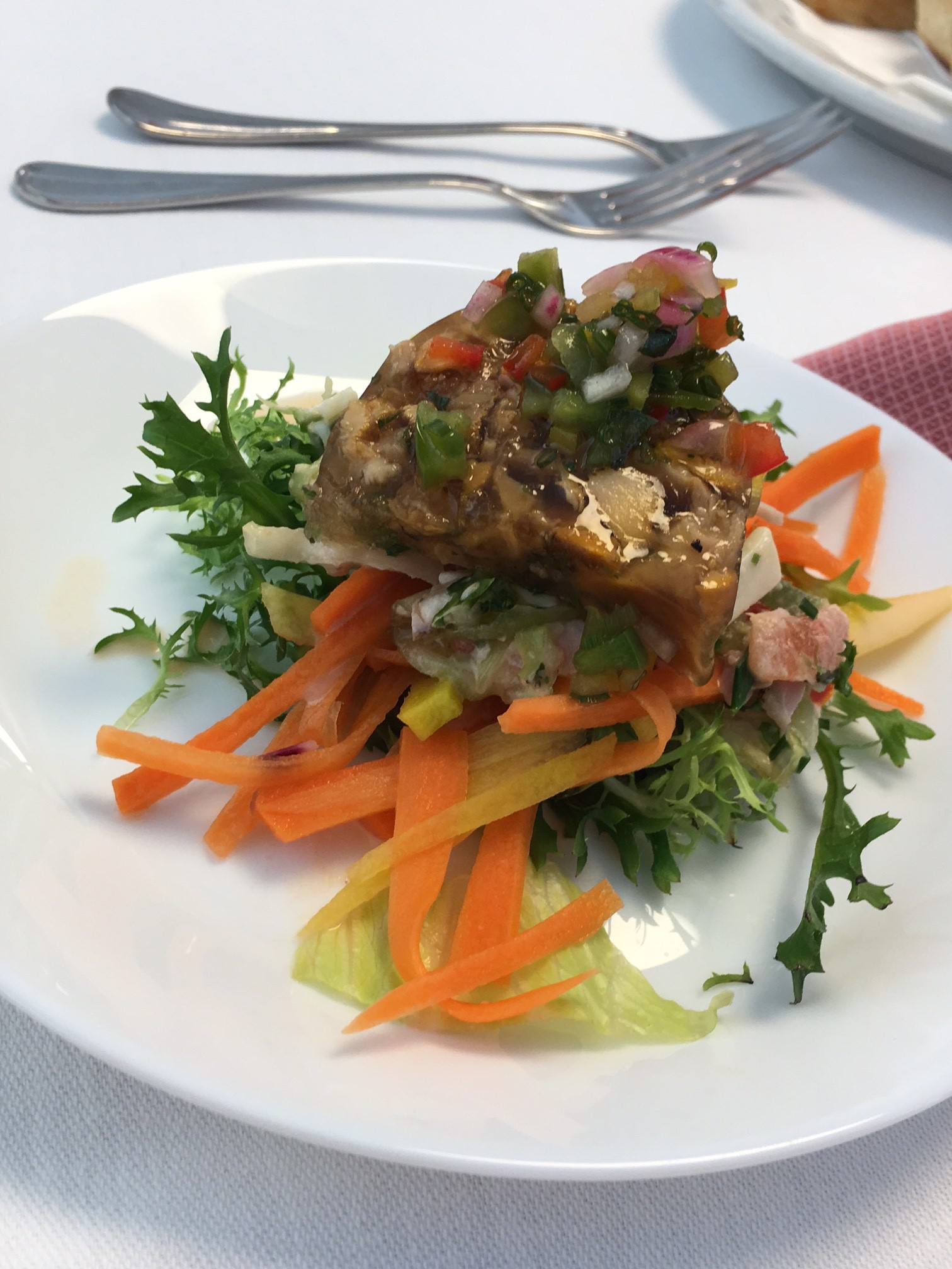 Vorspeise für unsere Gäste der Wien 3420 - ein sommerlich leichter Genuss mit Salaten, Gemüsesülzchen und Vinaigrette © Wien Work