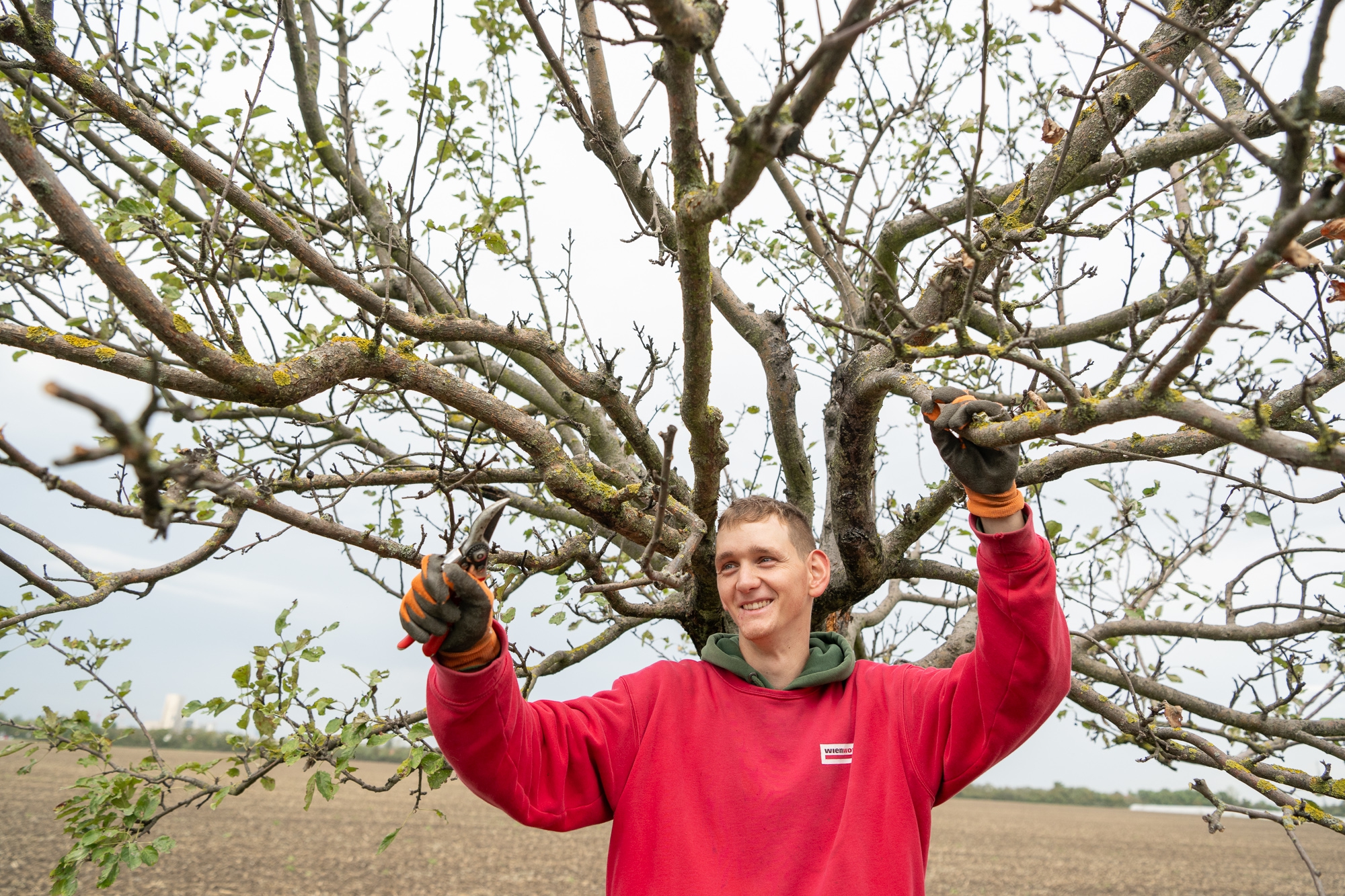 Grünflächen-Service - Baumschnitt ©wienwork/Luiza Puiu Grünflächen-Service - Baumschnitt ©wienwork/Luiza Puiu