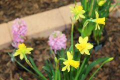 Das war unser Tag der offenen Tür in der Lehrlingsausbildung 045 © Wien Work Das war unser Tag der offenen Tür in der Lehrlingsausbildung 045 © Wien Work