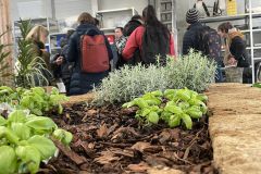 Tag der offenen Tür 2024 - inklusive Berufsausbildung 120 © wienwork Tag der offenen Tür 2024 - inklusive Berufsausbildung 120 © wienwork