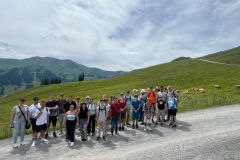 Sommerwoche 2025 in der Inklusiven Berufsausbildung 020 © wienwork Sommerwoche 2025 in der Inklusiven Berufsausbildung 020 © wienwork