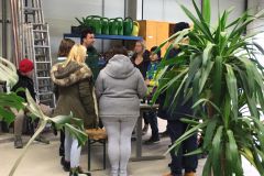 Ausbildung Landschaftsgärtnerei und BesucherInnen  - Infotag 2019 © wienwork Ausbildung Landschaftsgärtnerei und BesucherInnen  - Infotag 2019 © wienwork