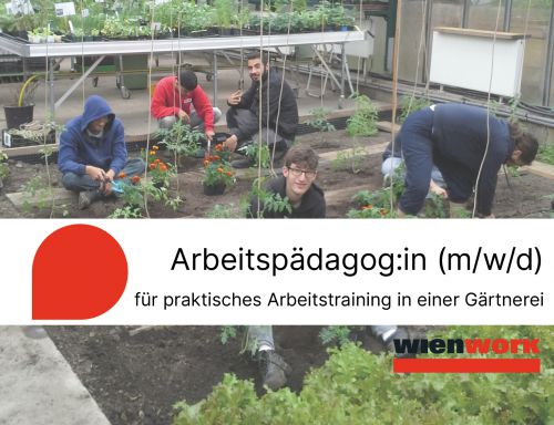Titelbild Arbeitspädagog:in Gärtnerei © wienwork