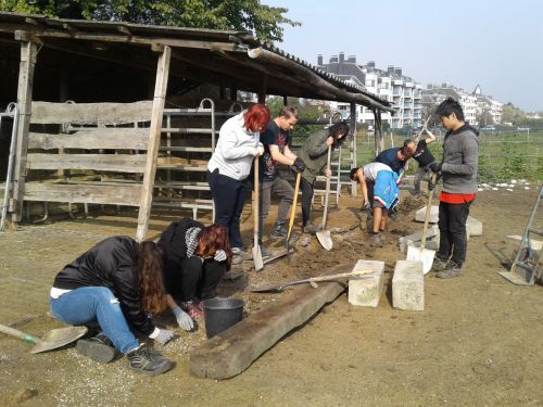 Jugendliche bei der Gartenarbeit / On the Job © wienwork