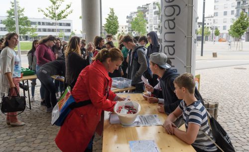 Was hacklst du Tour 2018 © waff/simlinger